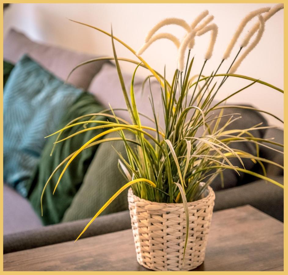 Appartement T3 I Cozy I ดูแวนน์ ภายนอก รูปภาพ