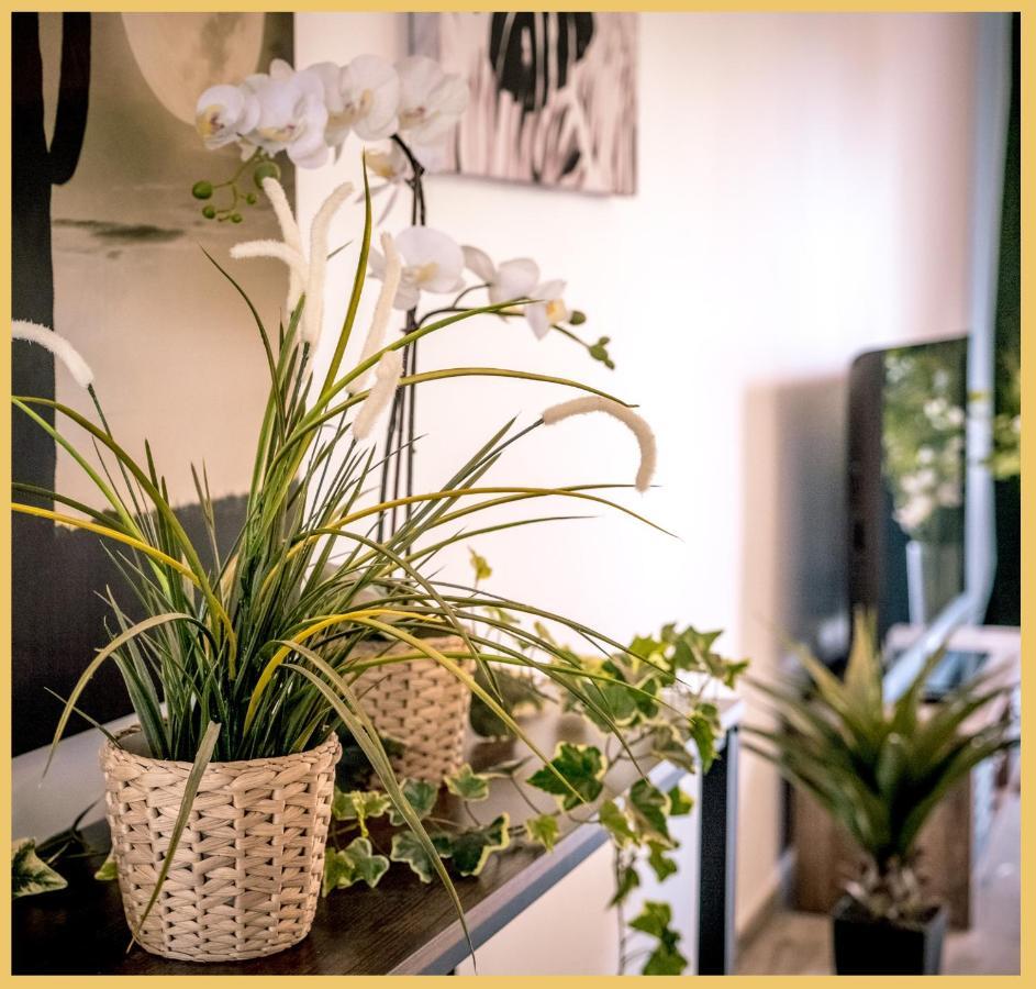 Appartement T3 I Cozy I ดูแวนน์ ภายนอก รูปภาพ